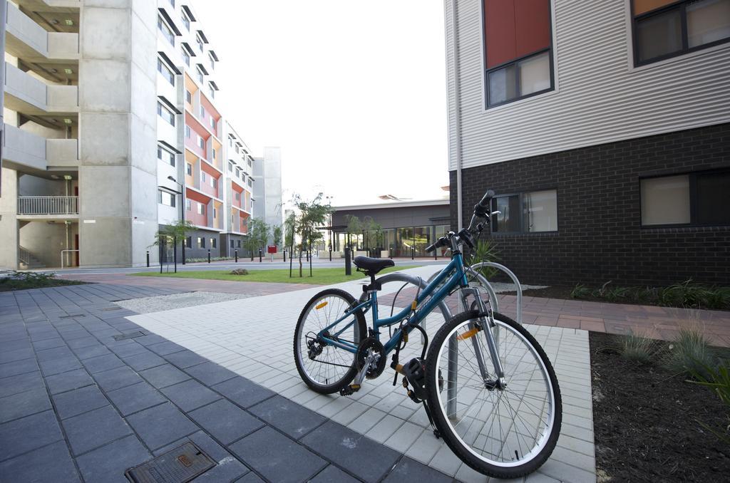 Ecu - Mt Lawley Hostel - Perth, Perth